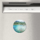 グランドケイマンコーラルリーフ マグネット (インサイチュ (食洗機))