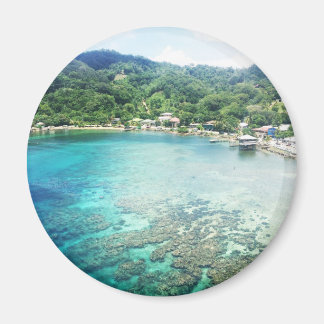 グランドケイマンコーラルリーフ マグネット