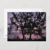 グランドケイマンサンライズポストカード ポストカード (正面/裏面)