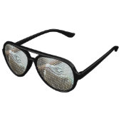 グランドケイマン伊グアナ アビエーターサングラス (アングル)