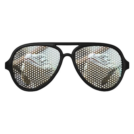 グランドケイマン伊グアナ アビエーターサングラス (正面)