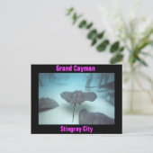 グランドケイマン島のポストカード ポストカード (スタンド正面)