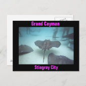 グランドケイマン島のポストカード ポストカード (正面/裏面)