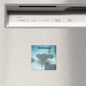 グランドケイマン島磁石 マグネット (インサイチュ (食洗機))