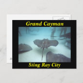 グランドケイマン製石線市葉書 ポストカード (正面/裏面)