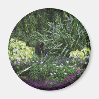 グランドケイマン諸島 マグネット