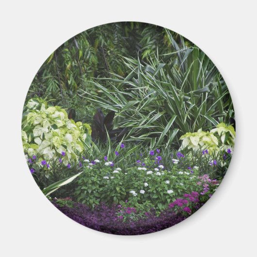 グランドケイマン諸島 マグネット (正面)