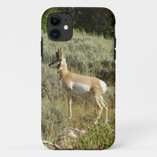 グランドティトン国立公園のプロングホーン Case-Mate iPhoneケース (裏面)
