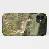 グランドティトン国立公園のプロングホーン Case-Mate iPhoneケース (裏面(横))