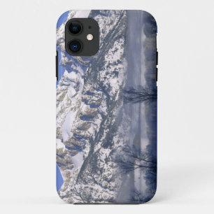 グランドティトン国立公園 ワイオミング州 アメリカ 霧と iPhone 11 ケース
