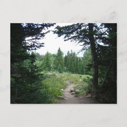 グランドティトン トレイル ポストカード (正面)