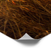 グランドテトンのファームハウス及びレールフェンス ポスター (角)