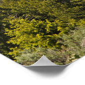 グランドテトンズマウンテンズシーニックビューポスター ポスター (角)