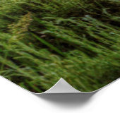 グランドテトンズ ポスター (角)