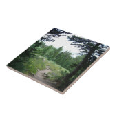 グランドテトントレイル タイル (側面)