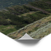 グランドテトンナショナルパーク ポスター (角)