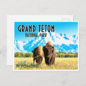 グランドテトンパークワイオミンヴィンテージ旅行はがき ポストカード (正面/裏面)