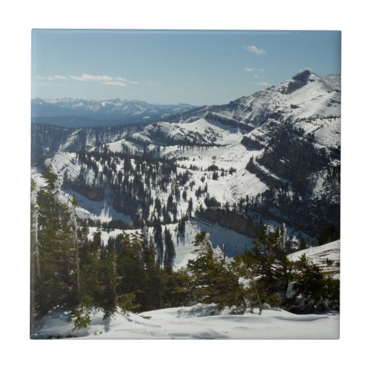 グランドテトンマウンテンズII写真の雪のピーク タイル (正面)