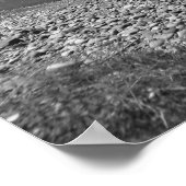 グランドテトン国立公園の概要 ポスター (角)