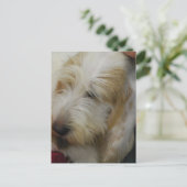 グランドバスセットドッグハガキ ポストカード (スタンド正面)