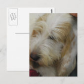 グランドバスセットドッグハガキ ポストカード (正面/裏面)