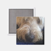 グランドバセットグリフォン磁石 マグネット (正面/裏面)