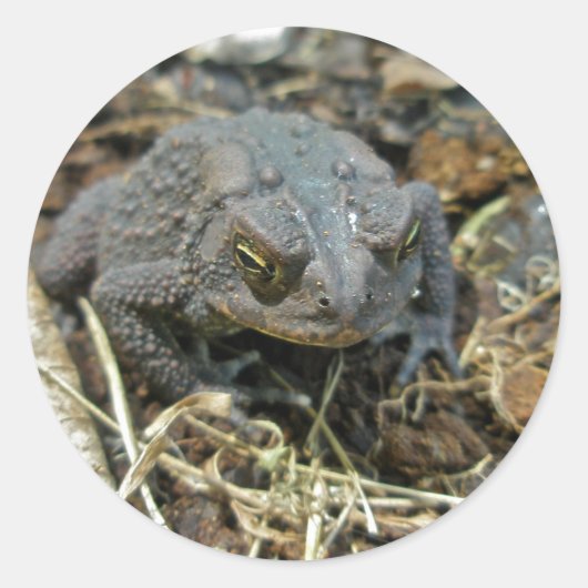 グランドパタートステッカー ラウンドシール (正面)