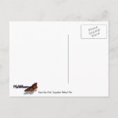 グランドビューポイントアットキャニョンランズナショナルパーク ポストカード (裏面)