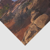 グランドビューポイントアットキャニョンランズナショナルパーク 薄葉紙 (詳細)