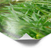 グランドブルーヘロン フォトプリント            (角)