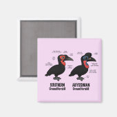 グランドホルンビルの統計 マグネット (正面/裏面)