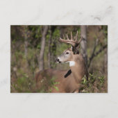 グランドホワイトテールバック記念   エンクロージャカード エンクロージャーカード (裏面)