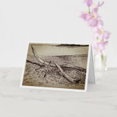 グランドマレグリーティングカード 箔グリーティングカード (蘭)