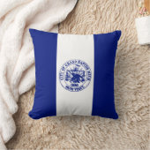 グランドラピッド州旗（ミシガン市） クッション (ブランケット)