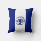 グランドラピッド州旗（ミシガン市） クッション (裏面)