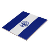 グランドラピッド州旗（ミシガン市） タイル (側面)