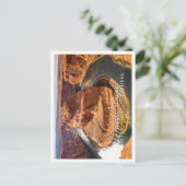 グランド素晴らしキャニオン国立公園のビュー ポストカード (スタンド正面)