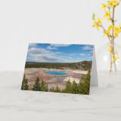 グランド角柱式春折り畳みグリーティングカード カード (黄色い花)