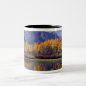 グランド·テトン国立公園、アメリカ、ワイオミング山 ツートーンマグカップ (中央)