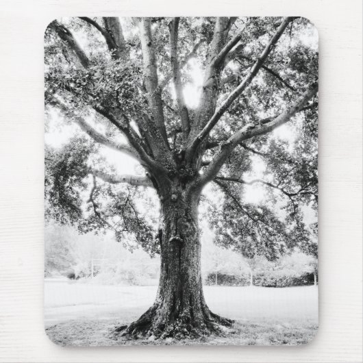 グランド マウスパッド (正面)