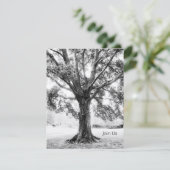 グランド 招待状 (スタンド正面)