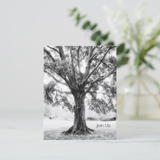 グランド 招待状 (スタンド正面)