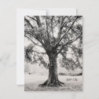 グランド 招待状