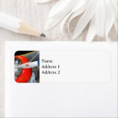 グランマンF3F-2バイプレーン ラベル (インサイチュ)