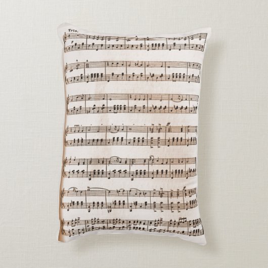 グラートルンケンIメデヴィのアクセント枕 アクセントクッション (裏面(縦))