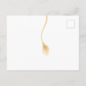 グラードキャップ卒業パーティー招待状 インビテーションポストカード (裏面)