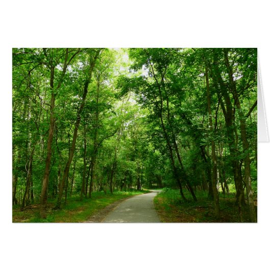 グリストミルトレイルII (正面横)