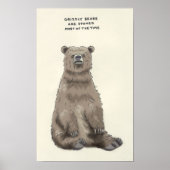 グリズベア・トリビア ポスター (正面)