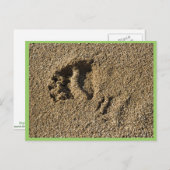 グリズリートラック ポストカード (正面/裏面)