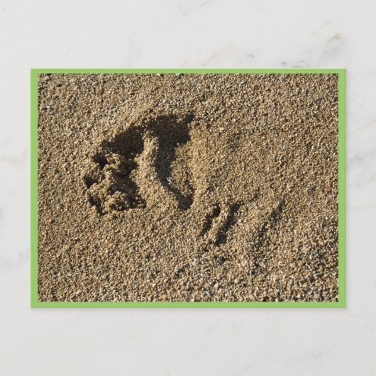 グリズリートラック ポストカード (正面)